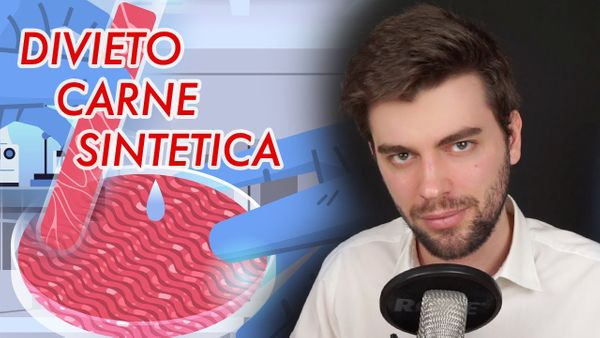 Divieto CARNE SINTETICA